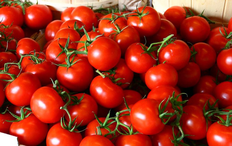 tomates