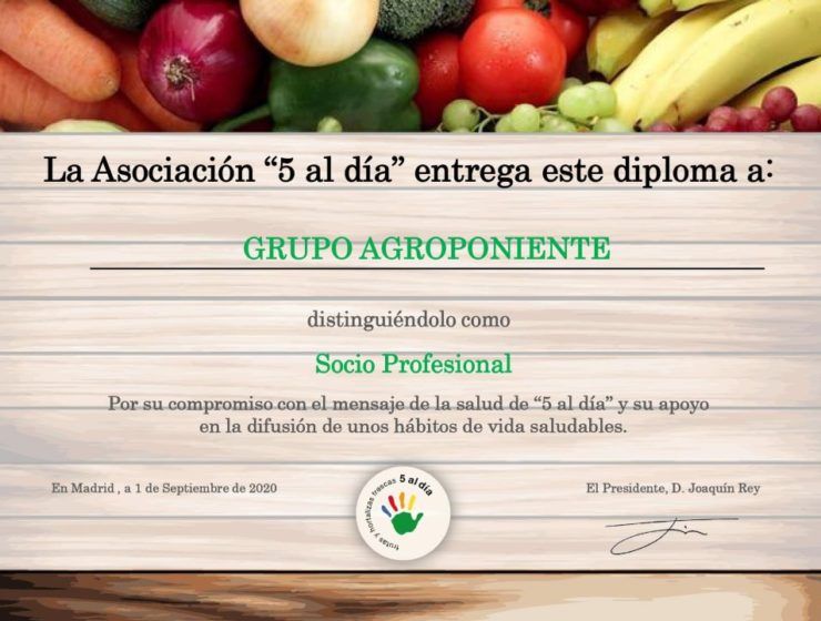 Agroponiente 5 al dia