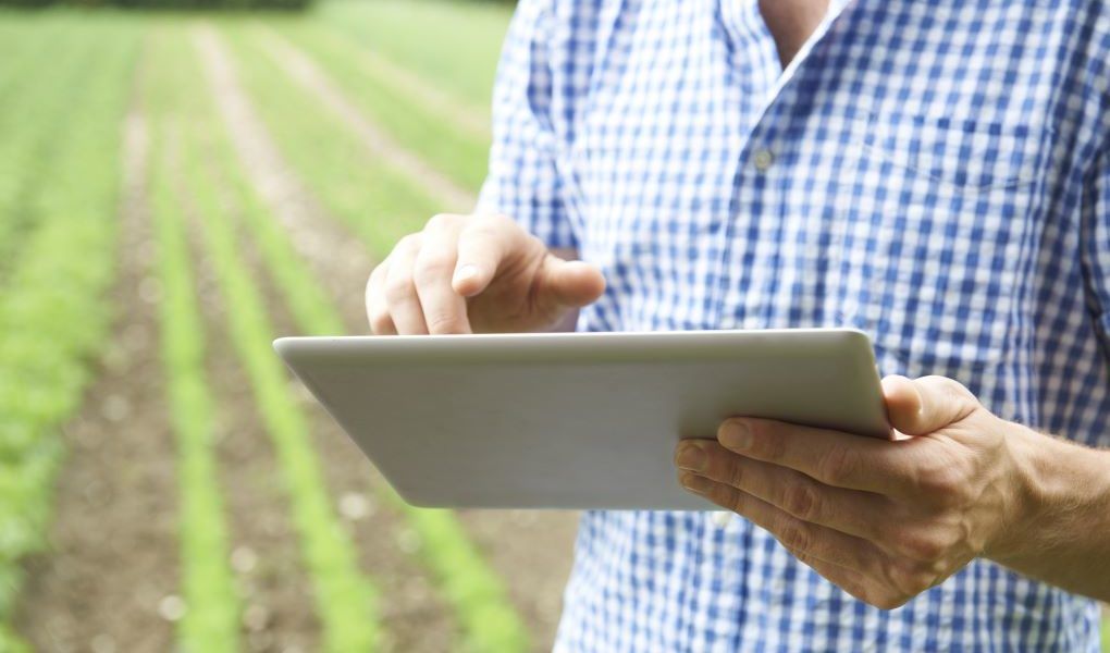 Certamen Grants4Ag de Bayer