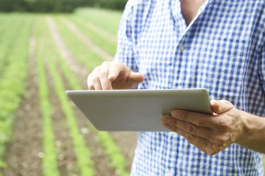 Certamen Grants4Ag de Bayer