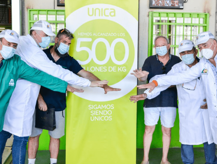 UNICA 500 millones kilos