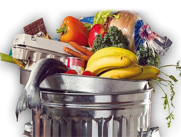 desperdicio alimentario