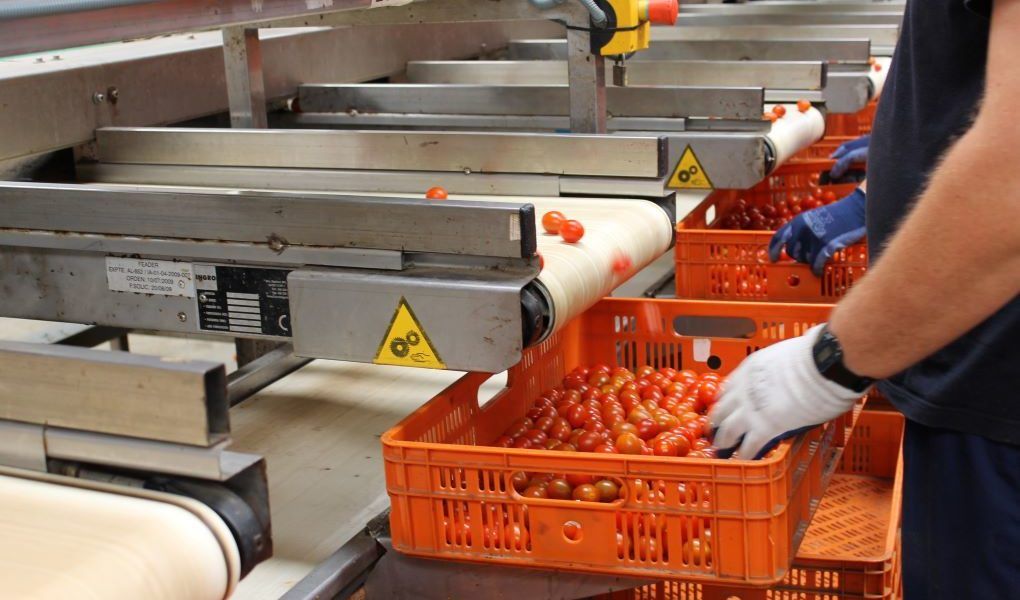sector agroalimentario