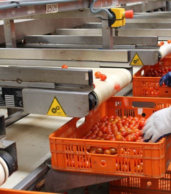 sector agroalimentario