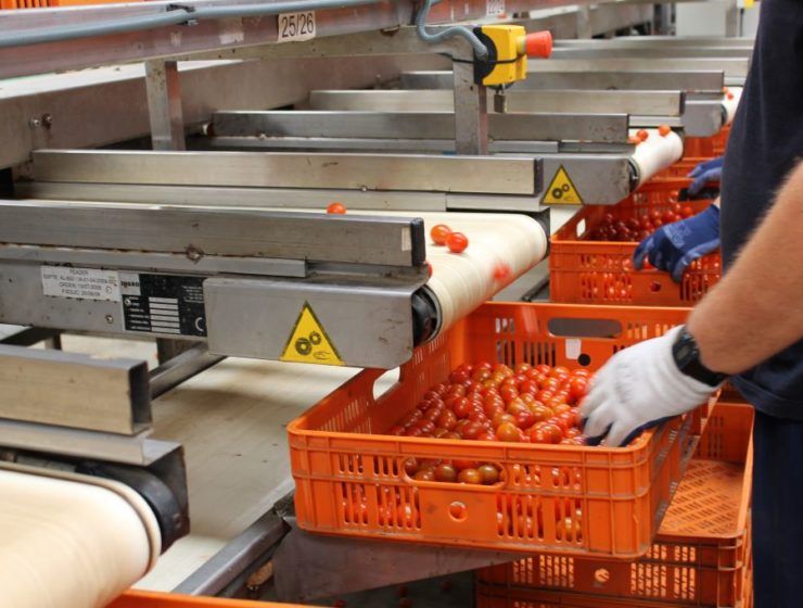 sector agroalimentario