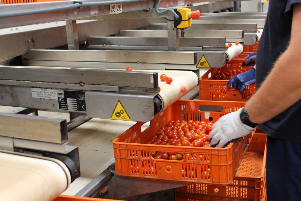 sector agroalimentario