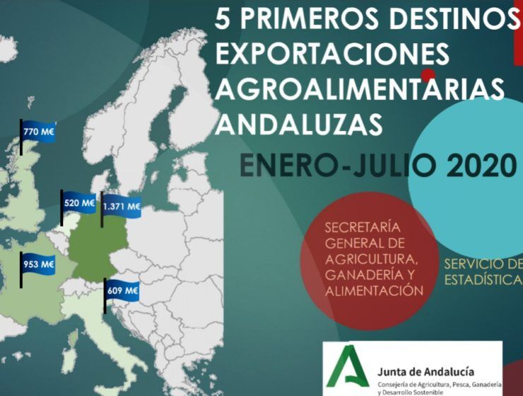 5 destinos export