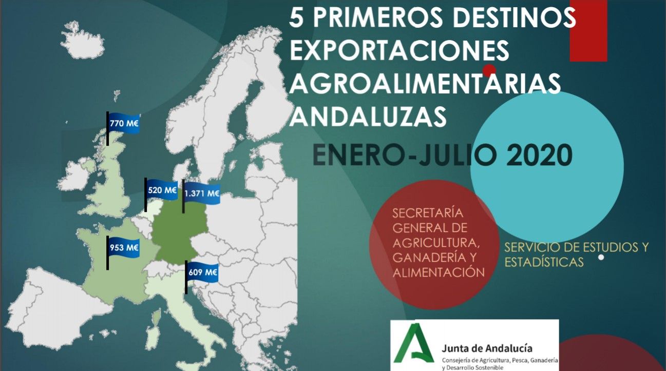 5 destinos export