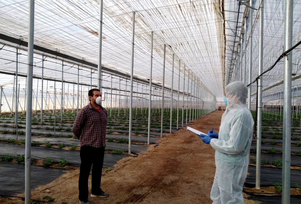 AGROCOLOR