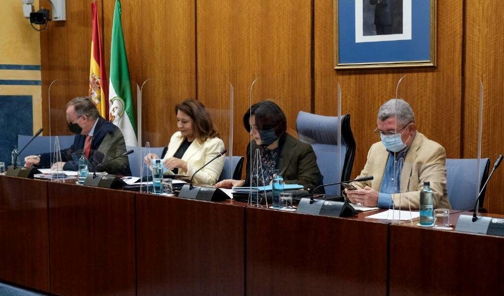 Carmen Crespo en comisión parlamentaria