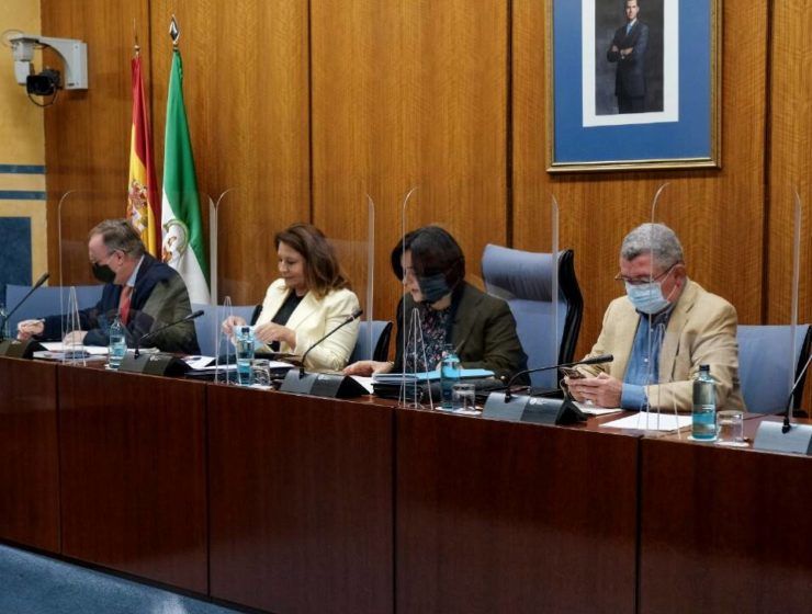 Carmen Crespo en comisión parlamentaria