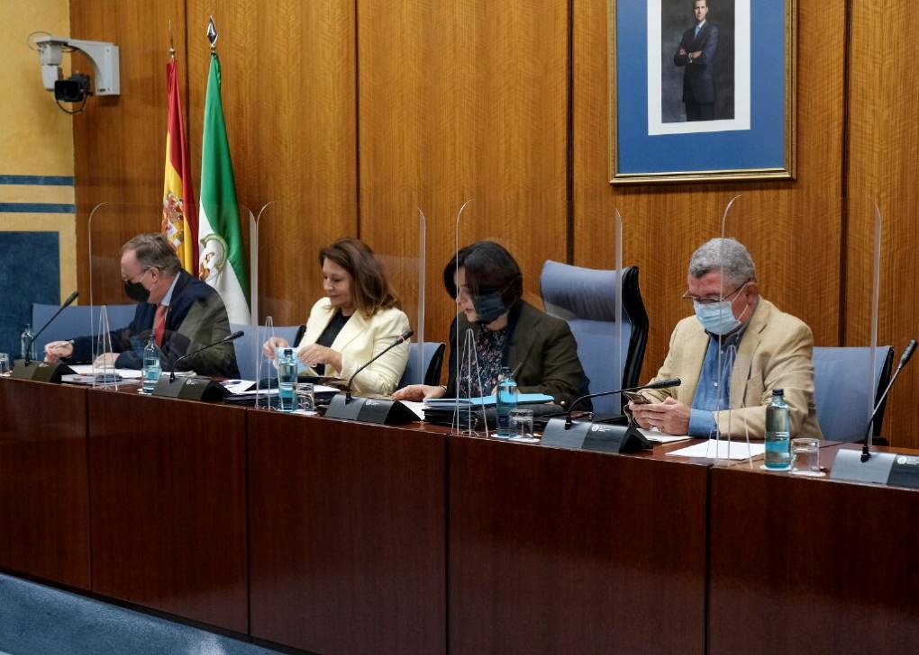 Carmen Crespo en comisión parlamentaria