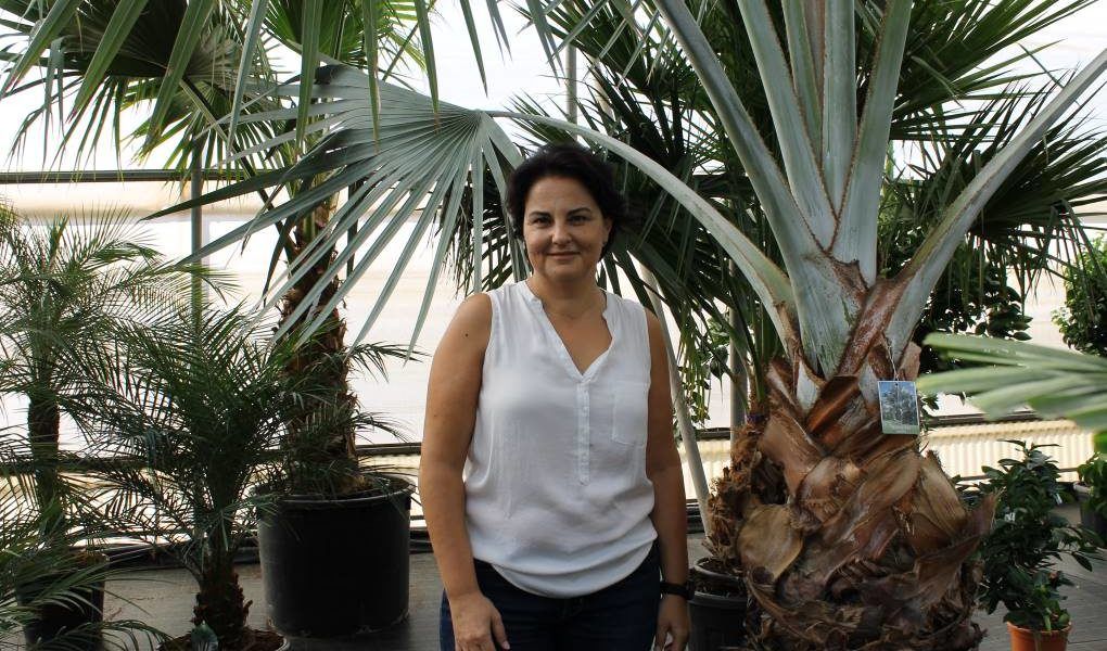 Elena Pascual Viveros Medipalm