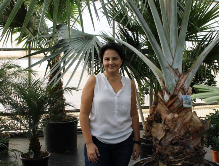 Elena Pascual Viveros Medipalm