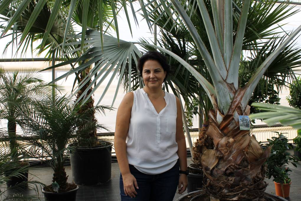 Elena Pascual Viveros Medipalm