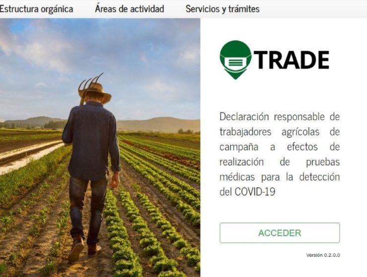 sistema trade