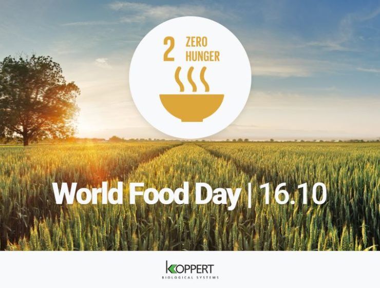Word Food Day