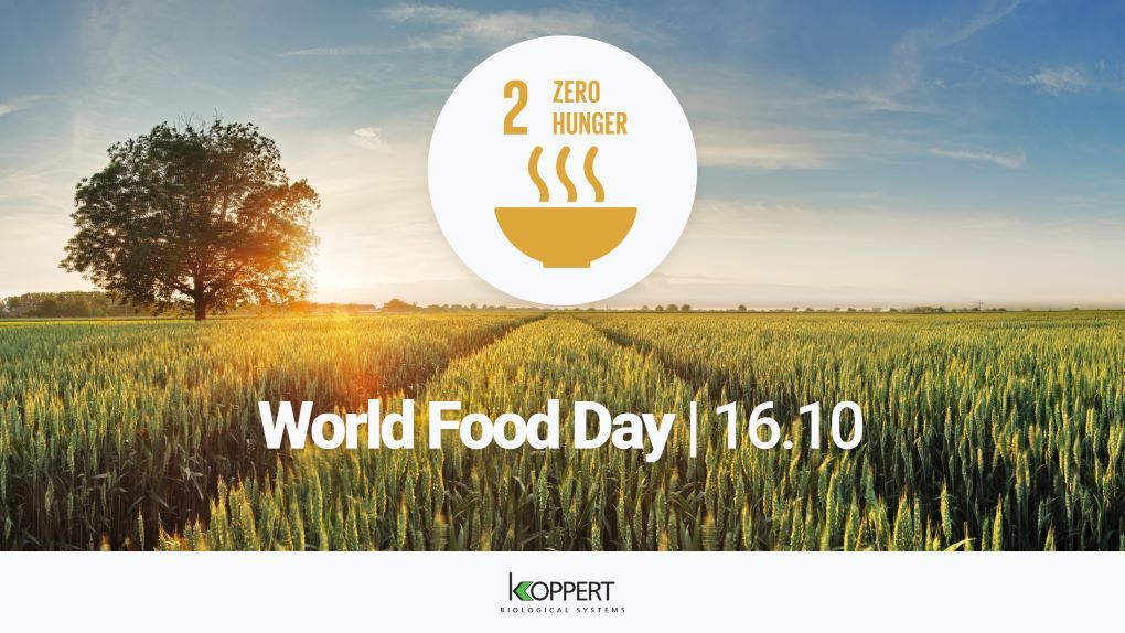Word Food Day