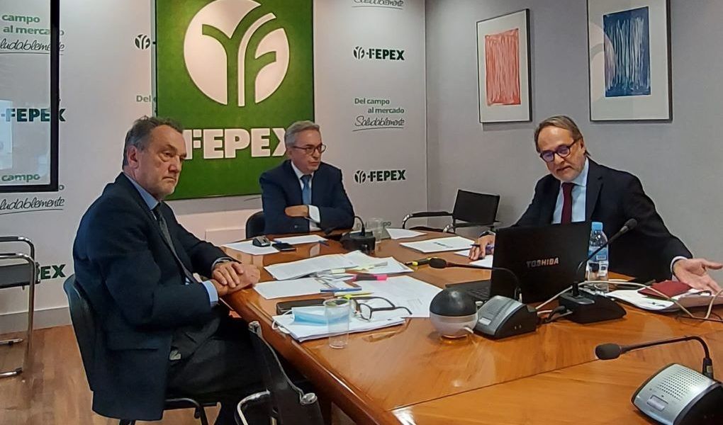 asamblea FEPEX online