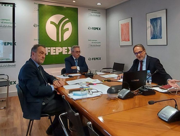 asamblea FEPEX online