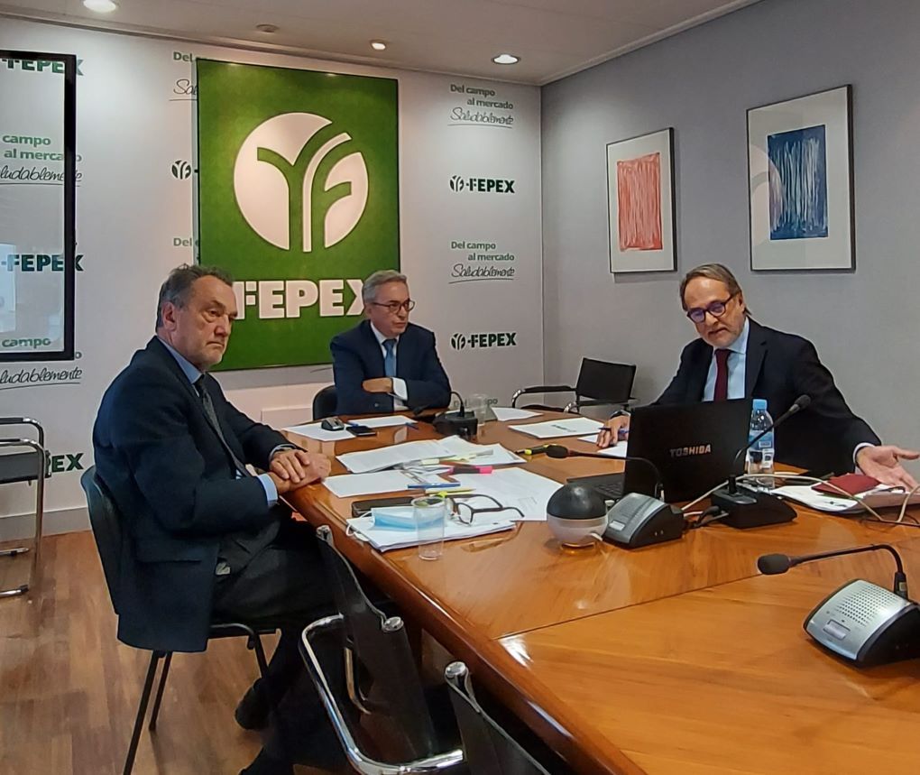 asamblea FEPEX online