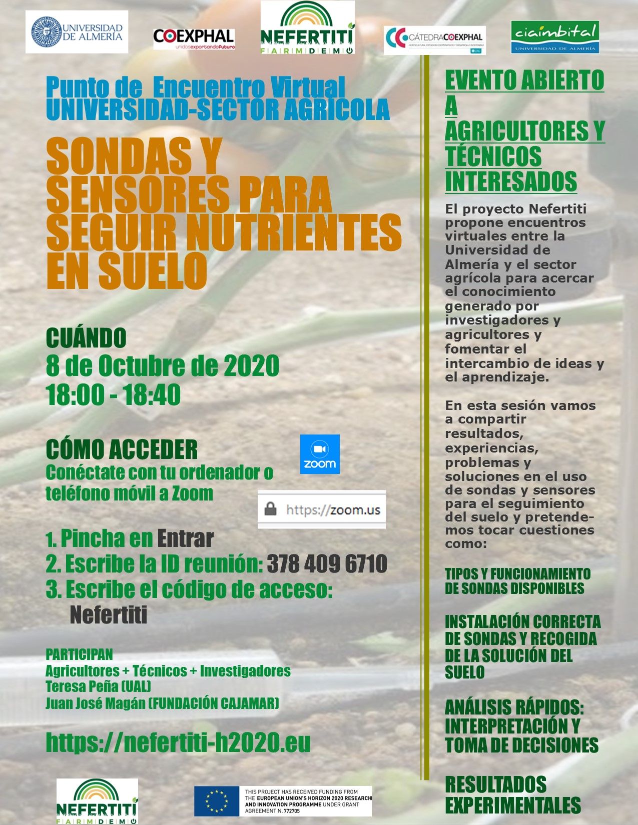 jornada suelos nefertiti