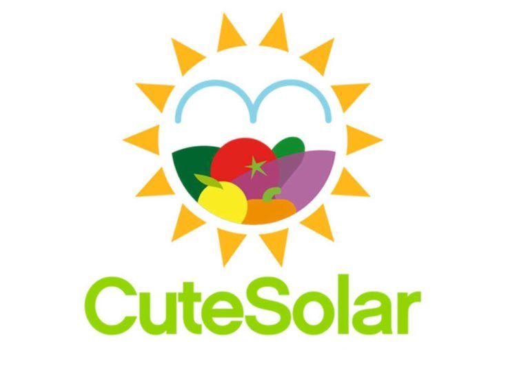 cute solar