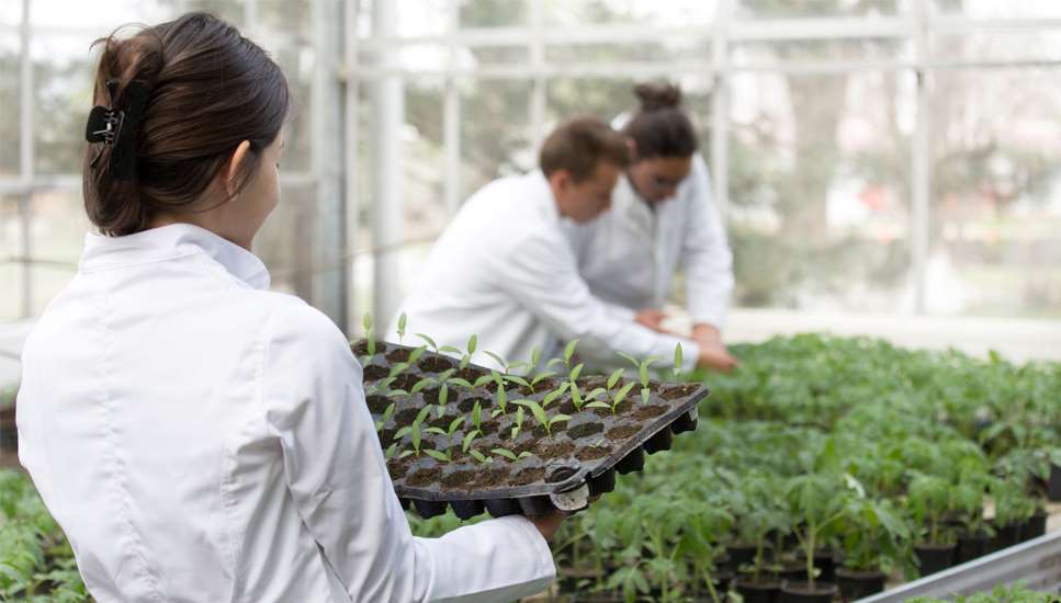 ingeniera agrónoma