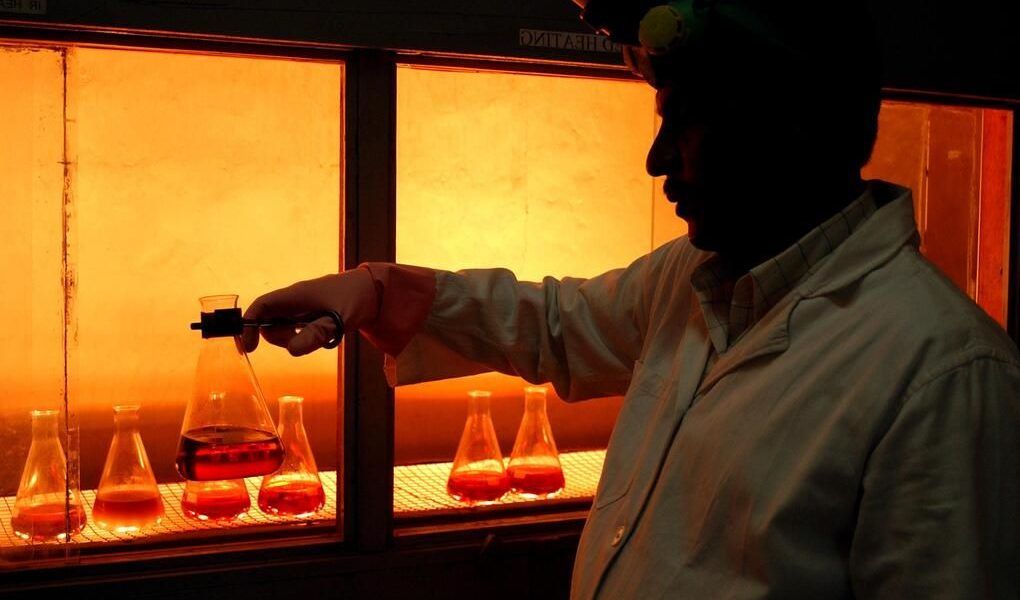 innovación agrícola