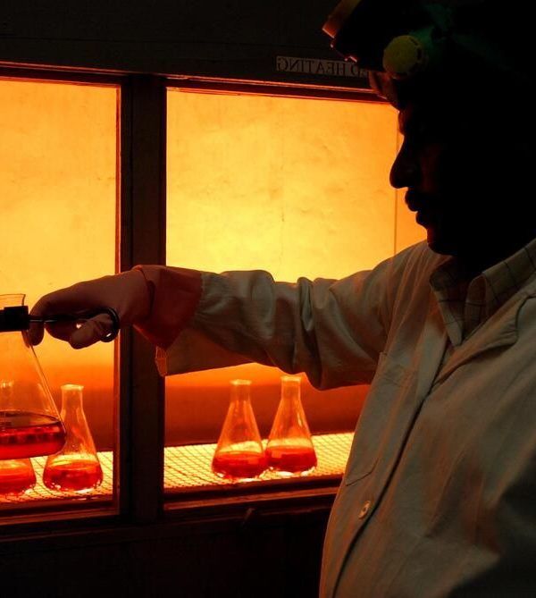 innovación agrícola