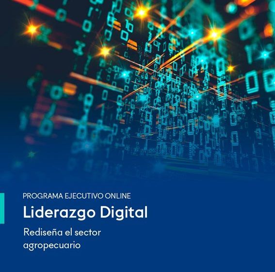 curso liderazgo digital ISAM