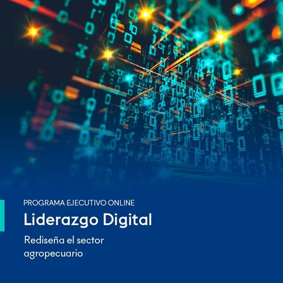 curso liderazgo digital ISAM