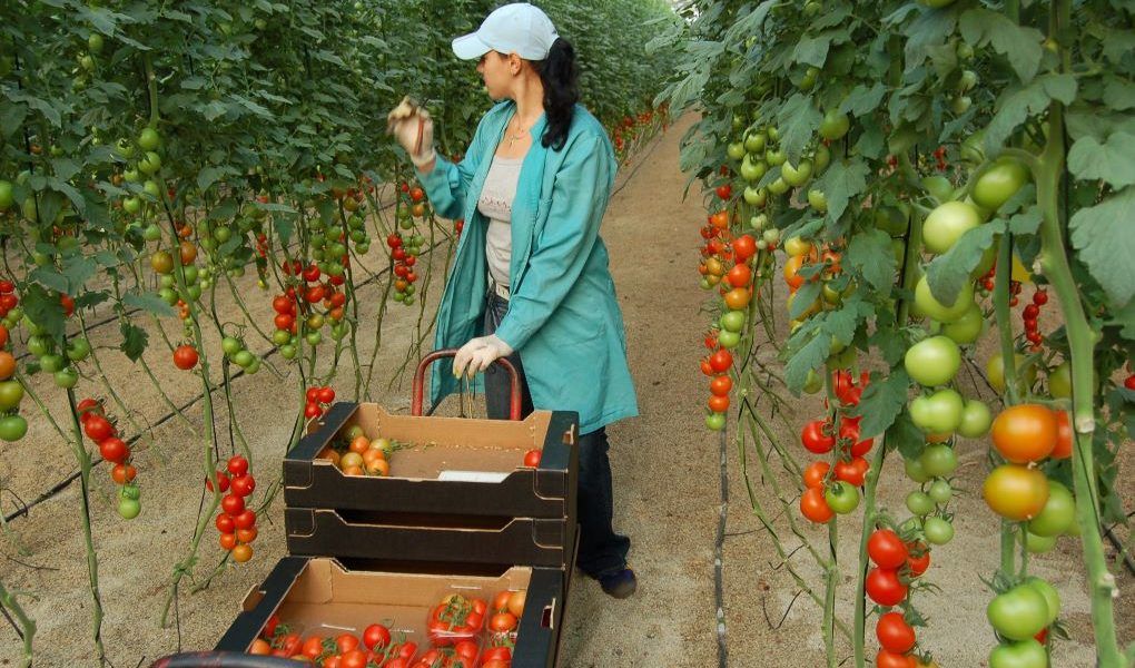 mujer agricultora