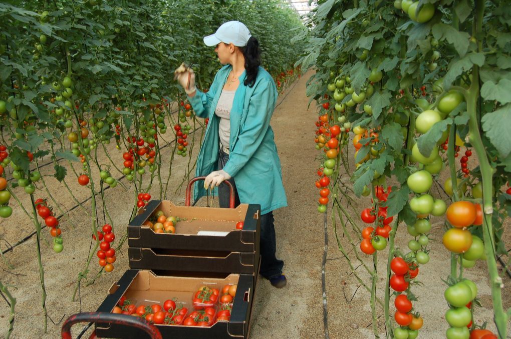 mujer agricultora