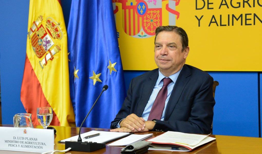 luis planas