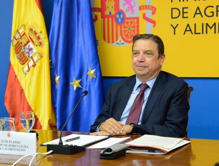 luis planas