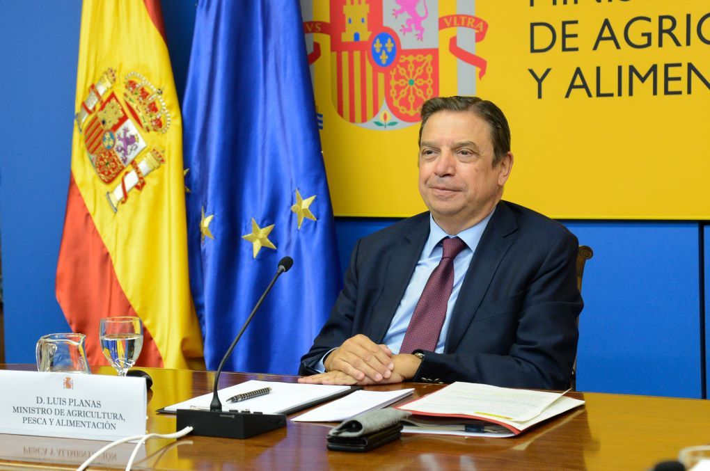 luis planas