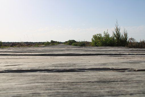 Paisaje rural