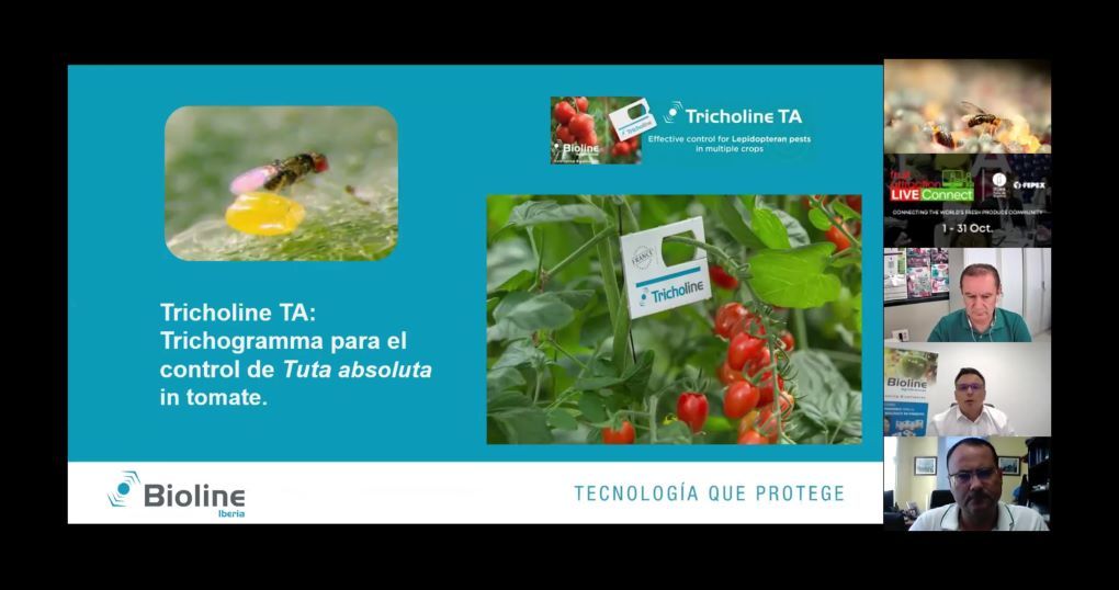 webinar Trichogramma Bioline en la Fruit