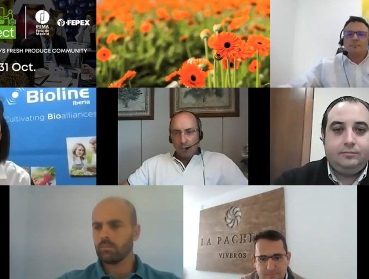 participantes webinar bioline ornamentales