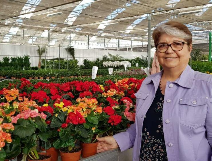Antonia Ferrer, Solisplant