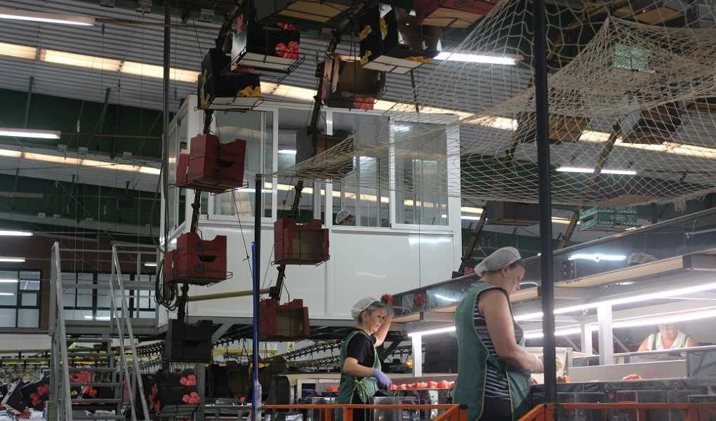 Industria agroalimentaria