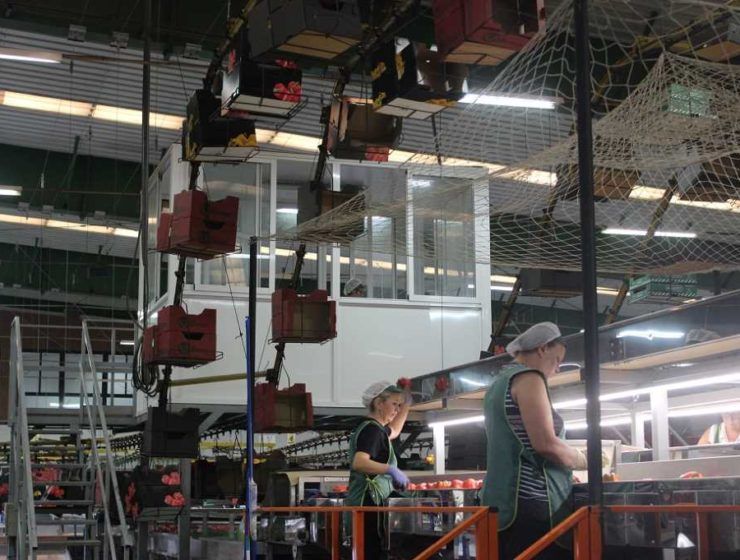 Industria agroalimentaria