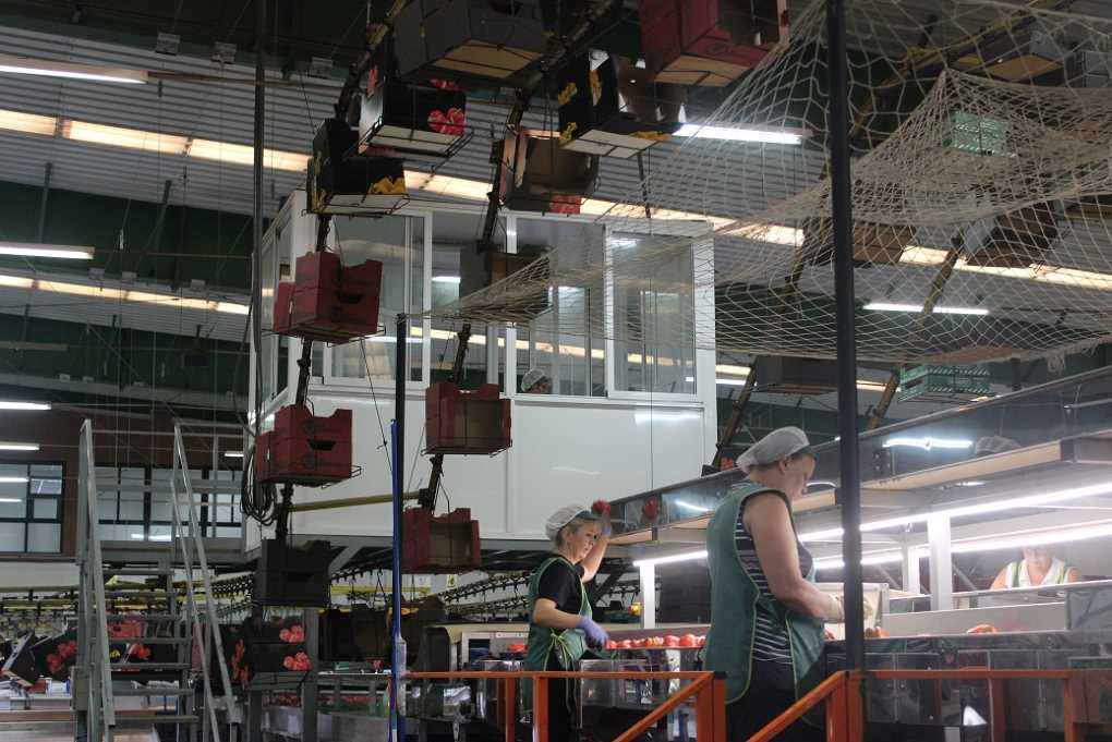 Industria agroalimentaria