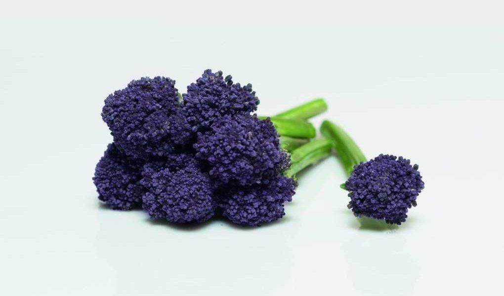 brócoli morado