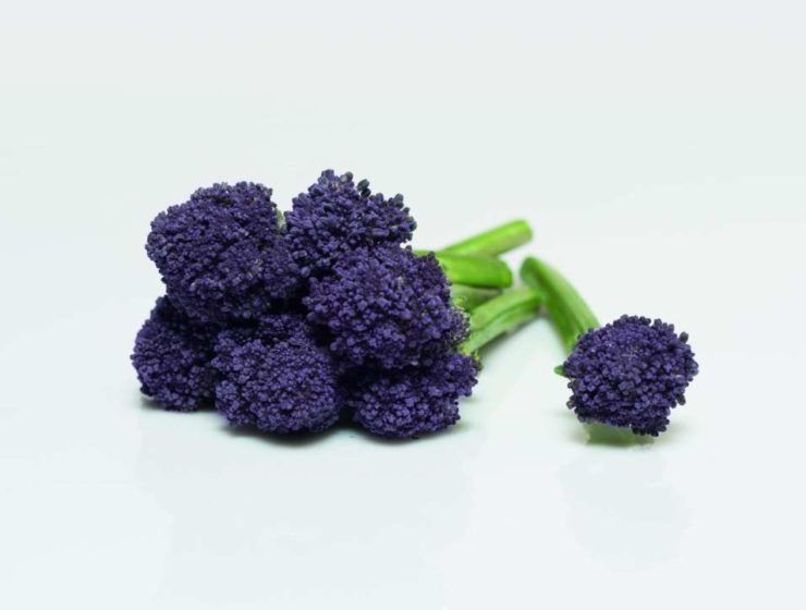 brócoli morado