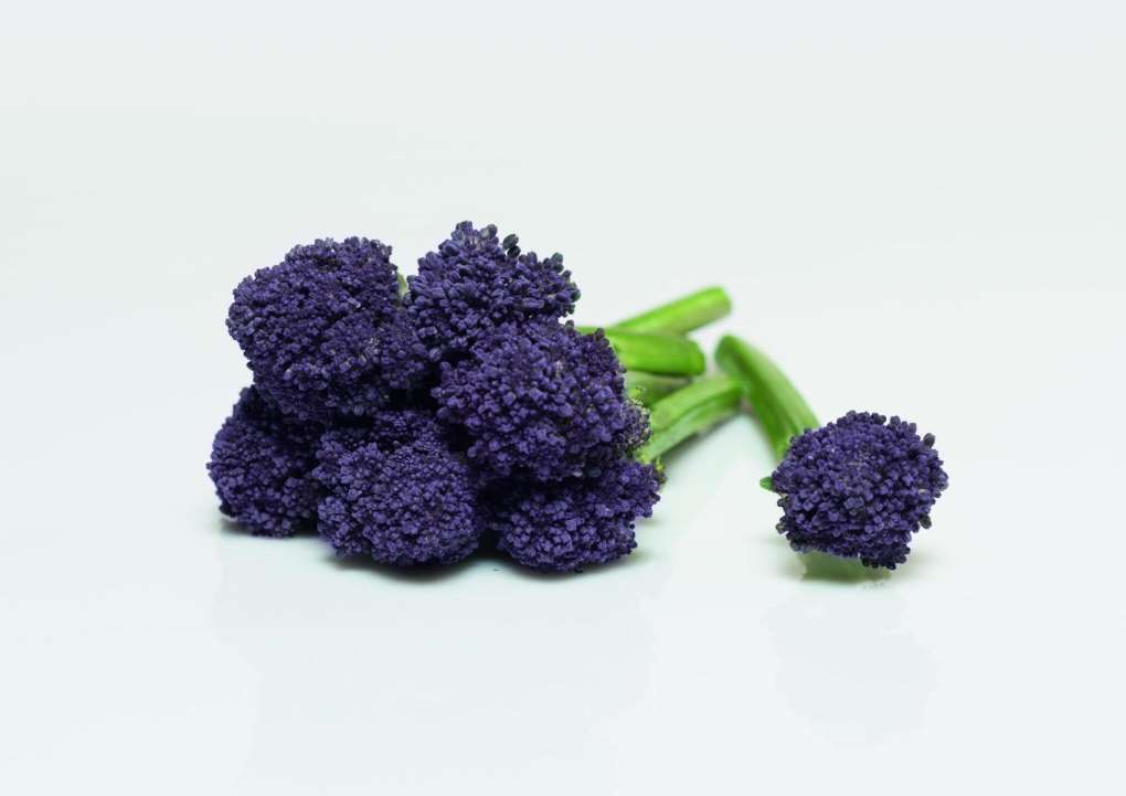 brócoli morado