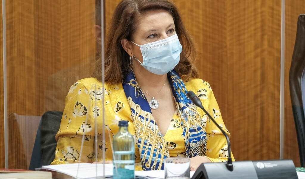 carmen crespo comisión parlamentaria