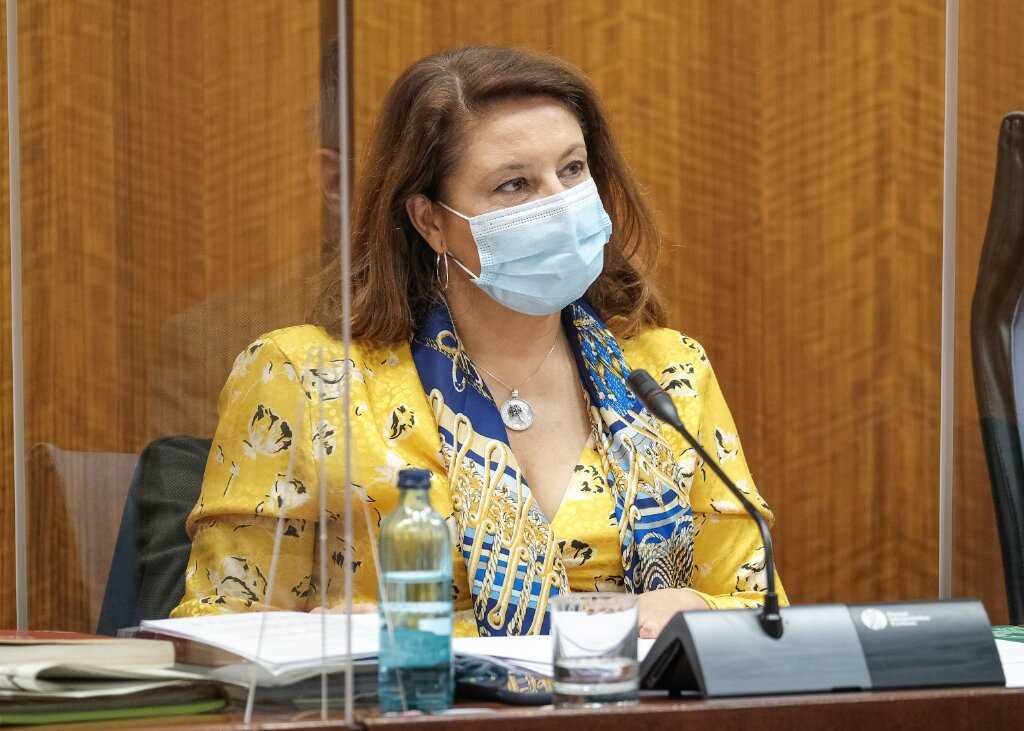 carmen crespo comisión parlamentaria