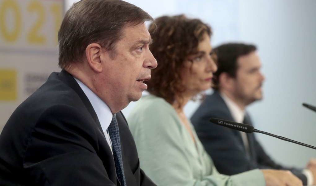 consejo ministros ley de la cadena